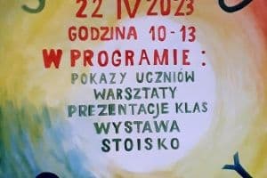 Strapi Picture